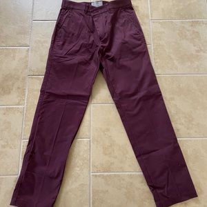 Everlane heavy weight Burgundy Chino Pants